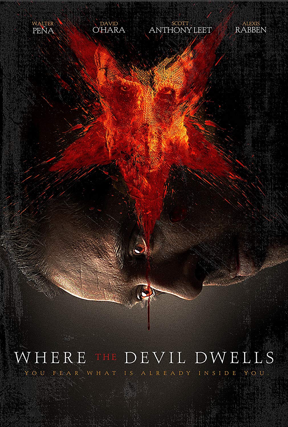 Where the Devil Dwells DVD DAMAGED