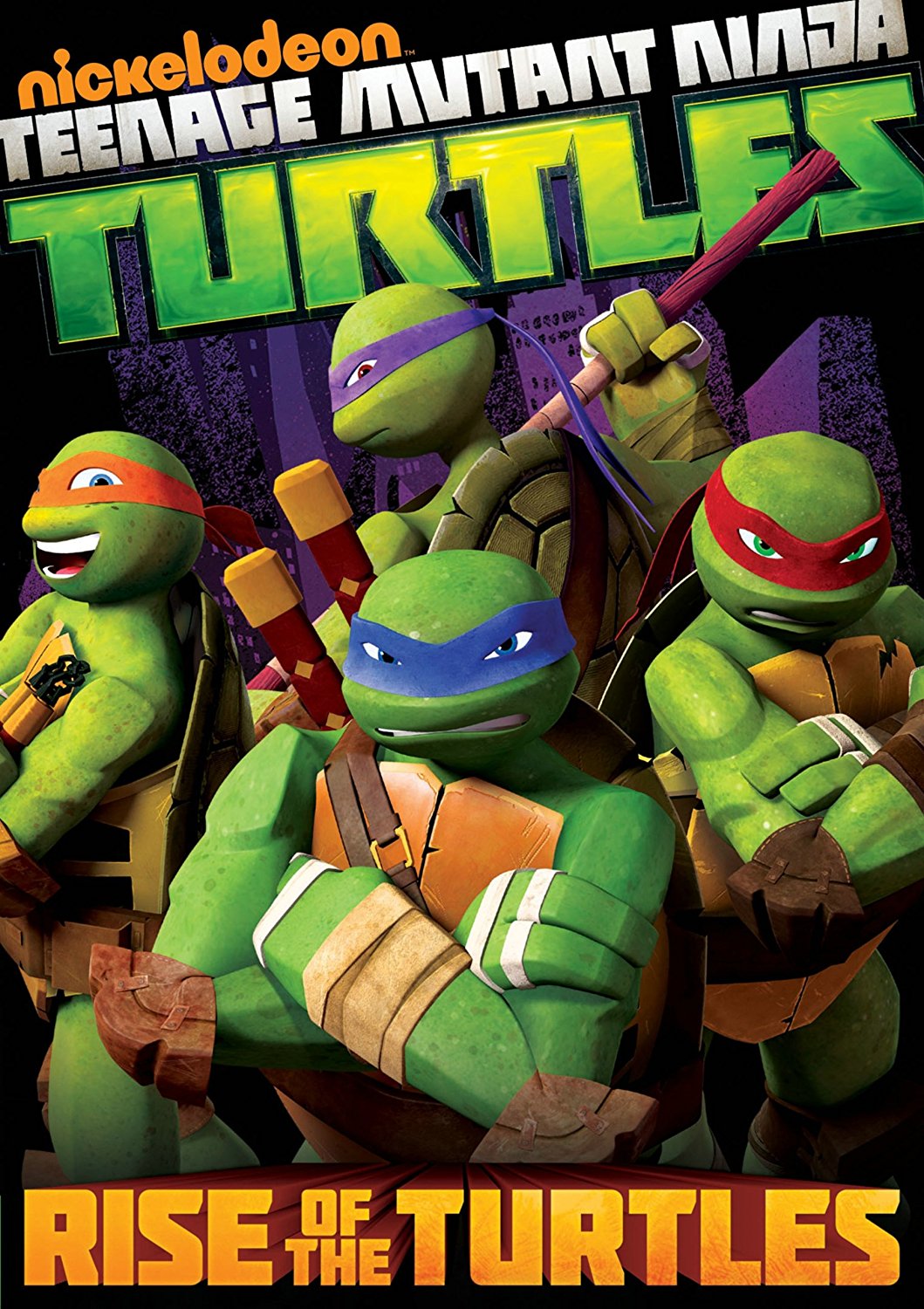 Teenage Mutant Ninja Turtles: Rise of the Turtles DVD