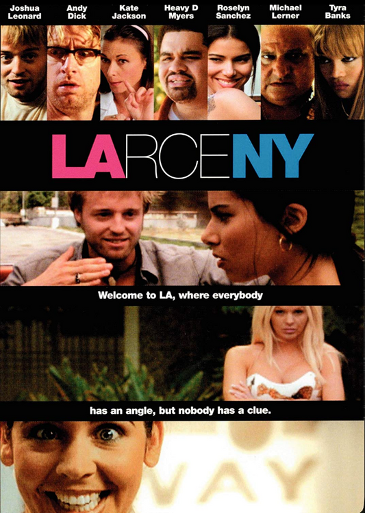 Larceny DVD DAMAGED