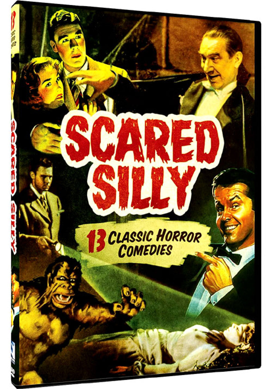 Scared Silly DVD DAMAGED